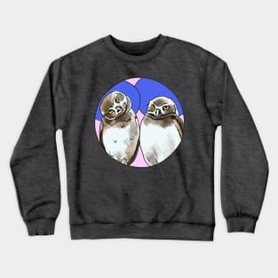 Burrowing Owls- Circle edit Crewneck Sweatshirt